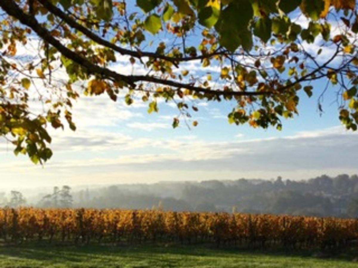 Chateau De La Ligne Lignan-de-Bordeaux Esterno foto